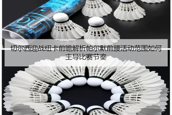 切尔西迎战纽卡前瞻解析帕尔默前腰活动范围如何主导比赛节奏